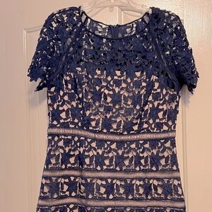 Eliza J Beige and Navy Lace Dress